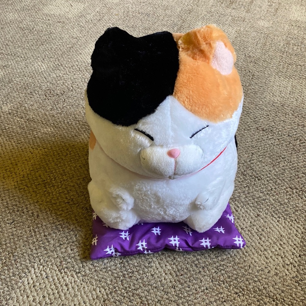 Amuse mii sama cat